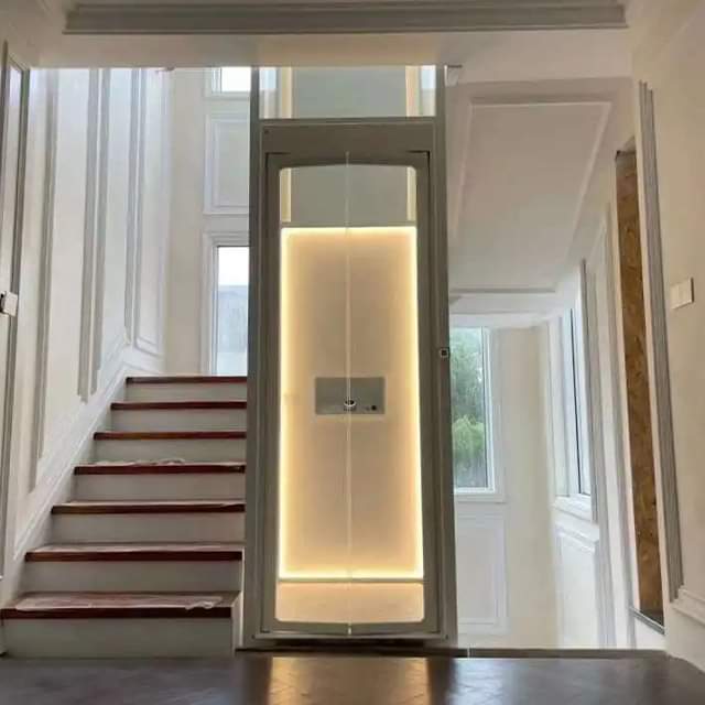 Gearless Home Lifts